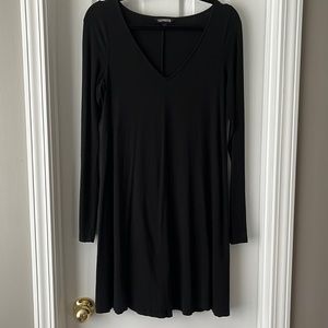 Express Long Sleeve V Neck Dress